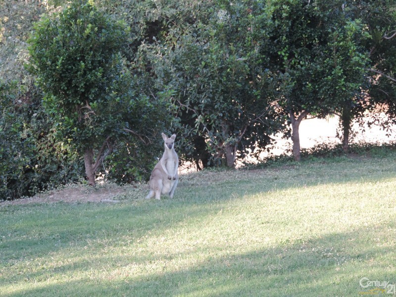 4 MT KULBURN DRIVE, Jensen QLD 4818