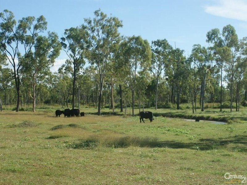 119 HAYNES ROAD, Jensen QLD 4818