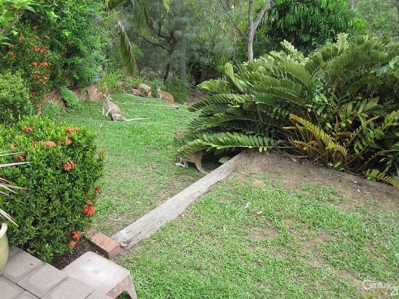 11 DENISON COURT, Toomulla QLD 4816