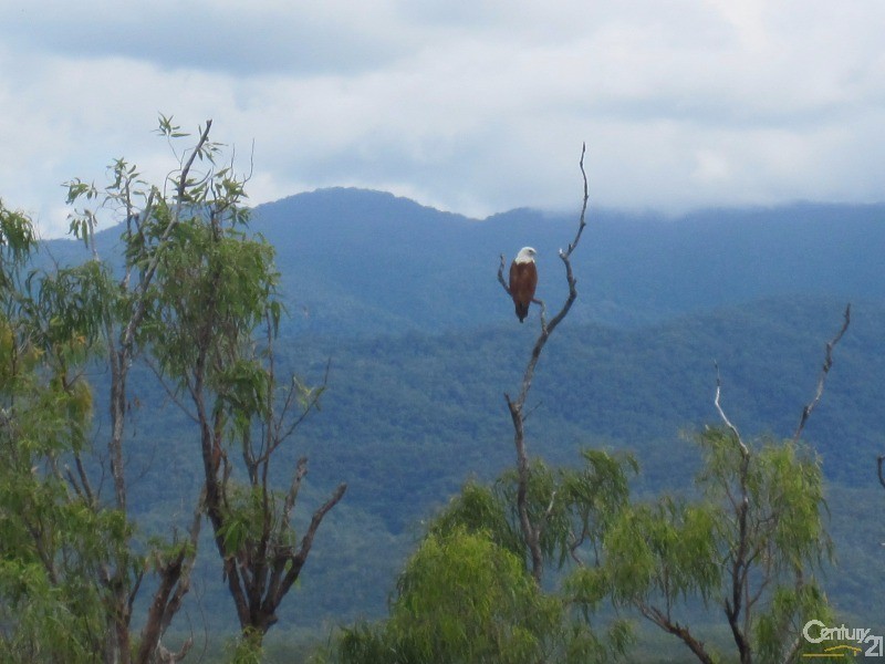 11 DENISON COURT, Toomulla QLD 4816