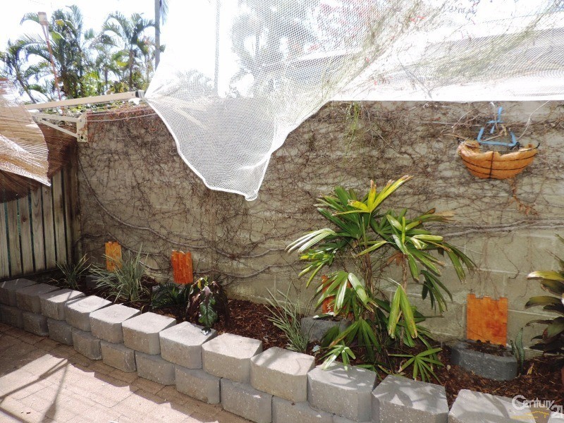 2/67 ROSE STREET, North Ward QLD 4810