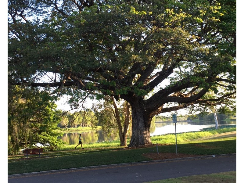 109 MARABOU DRIVE, Annandale QLD 4814