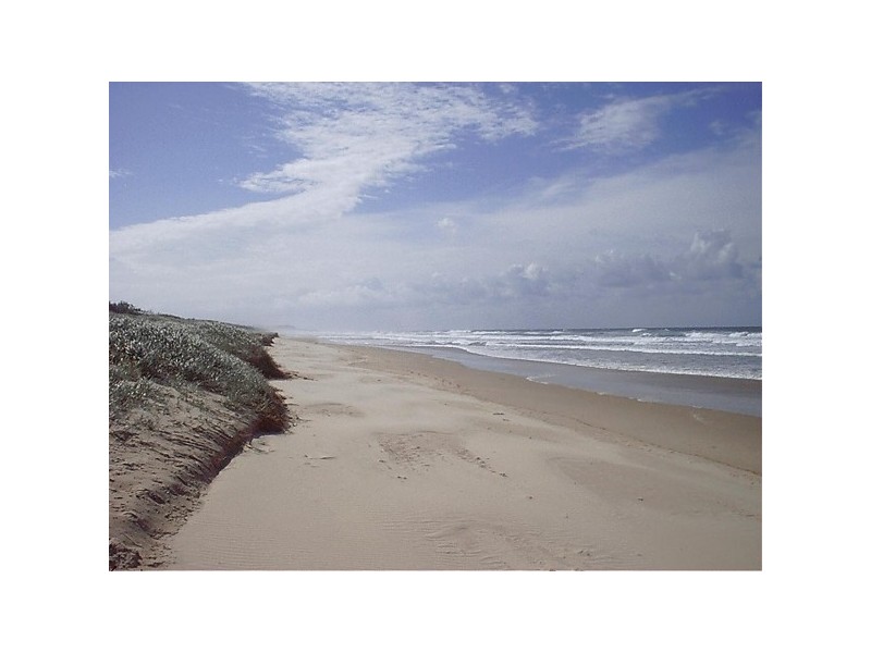 374 David Low Way, Peregian Beach QLD 4573