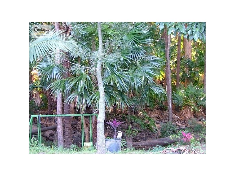 15 Avron Court, Tewantin QLD 4565