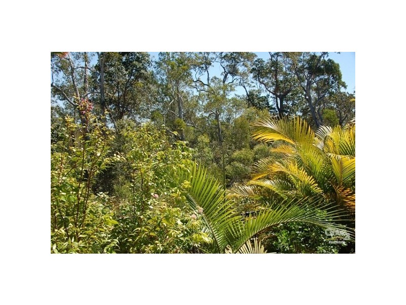 42 Sandhurst Crescent, Peregian Springs QLD 4573