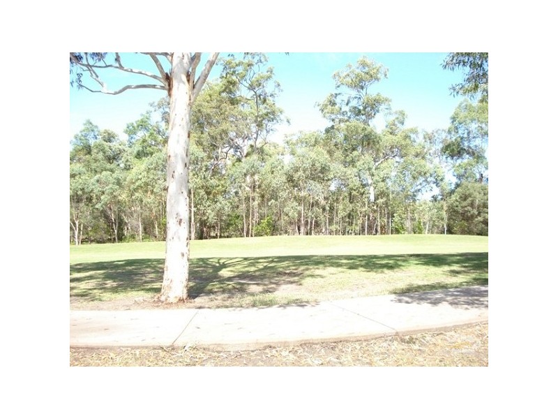 77 The Avenue, Peregian Springs QLD 4573
