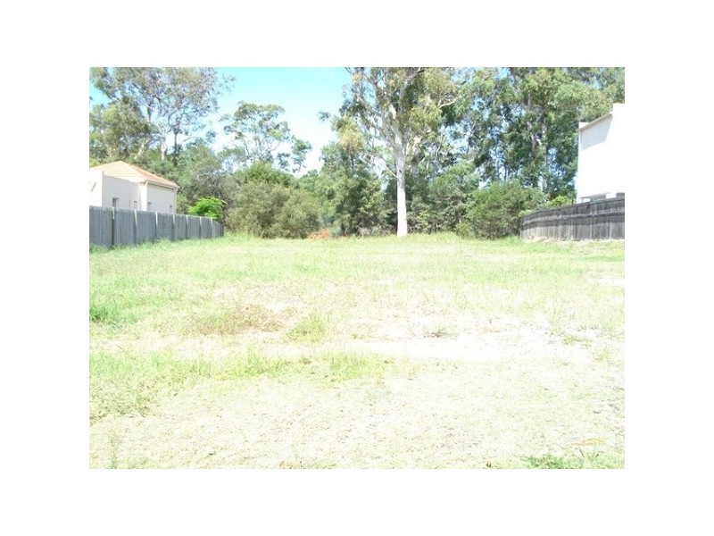 77 The Avenue, Peregian Springs QLD 4573