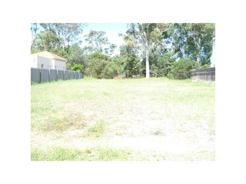 77 The Avenue, Peregian Springs QLD 4573
