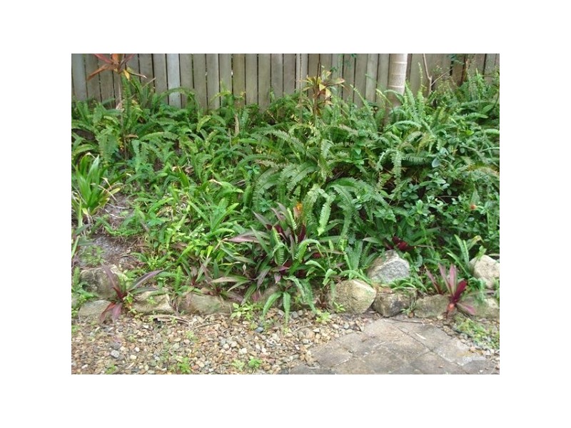 14/75 David Low Way, Sunrise Beach QLD 4567