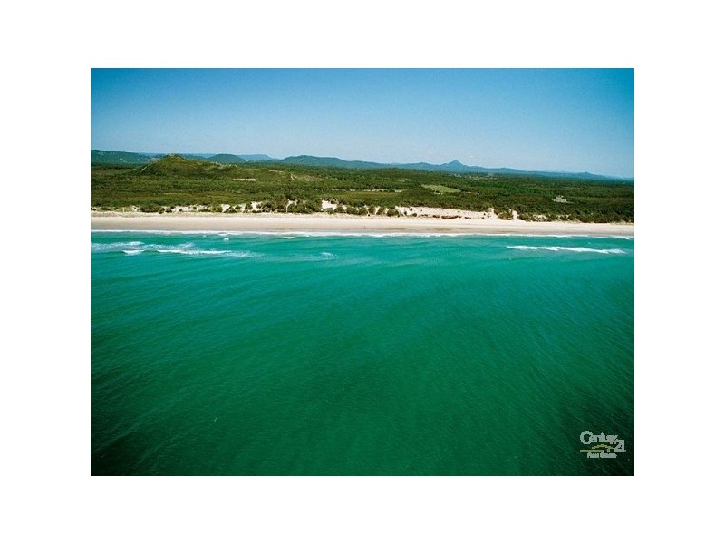 98 The Avenue, Peregian Springs QLD 4573