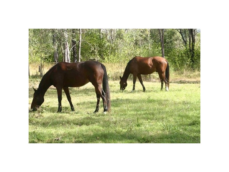 Tamborine QLD 4270