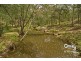 Tamborine QLD 4270