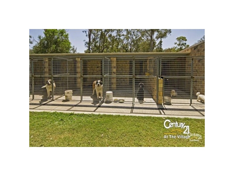 41 Arabian Court, Jimboomba QLD 4280