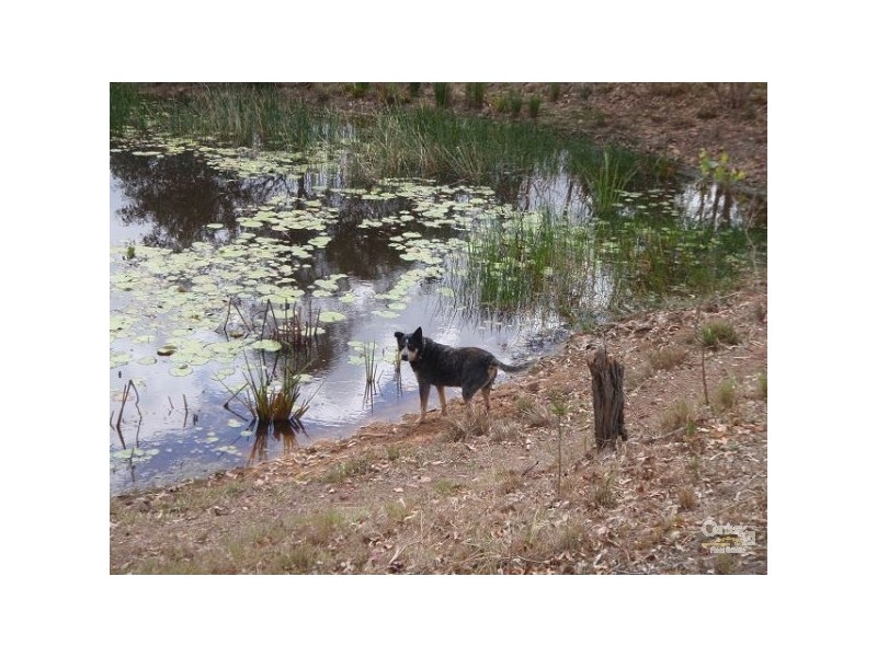 753-761 Waterford Tamborine Road, Buccan QLD 4207