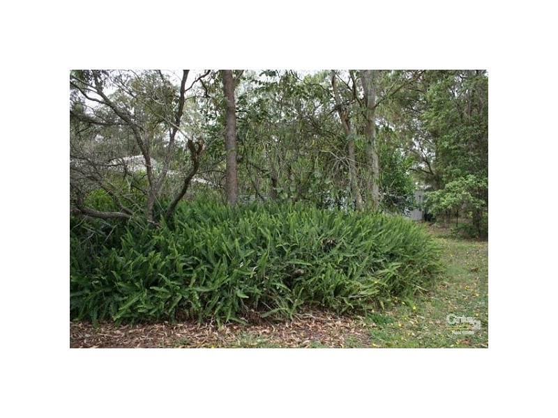 Logan Reserve QLD 4133