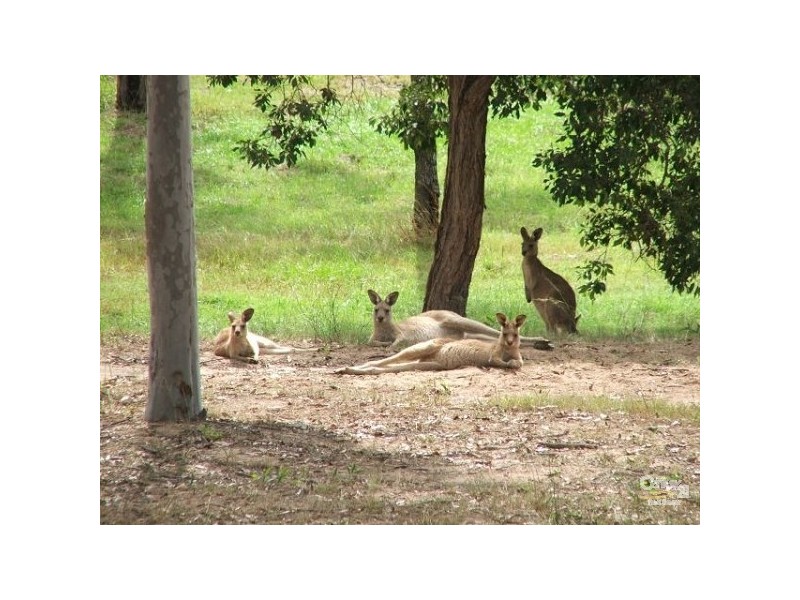 Mundoolun QLD 4285