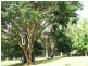 85 Maranoa Drive, Logan Village QLD 4207