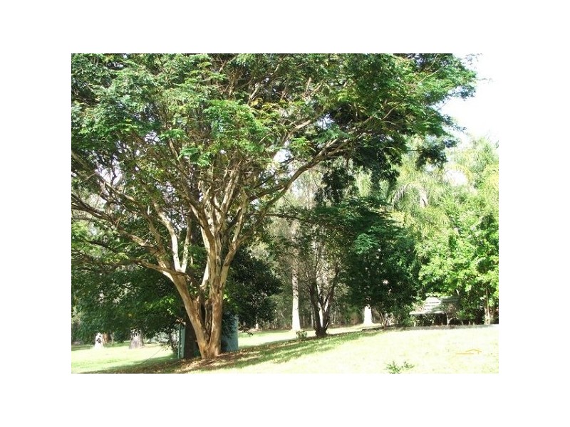 85 Maranoa Drive, Logan Village QLD 4207