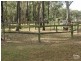 2100 Beaudesert Beenleigh Road, Tamborine QLD 4270