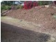 Mundoolun QLD 4285
