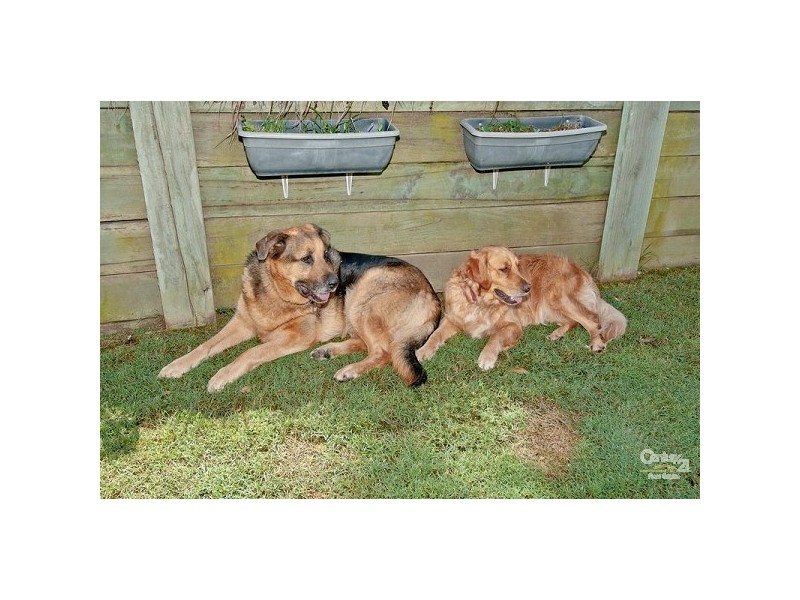 4 Willmann Crt, Bahrs Scrub QLD 4207