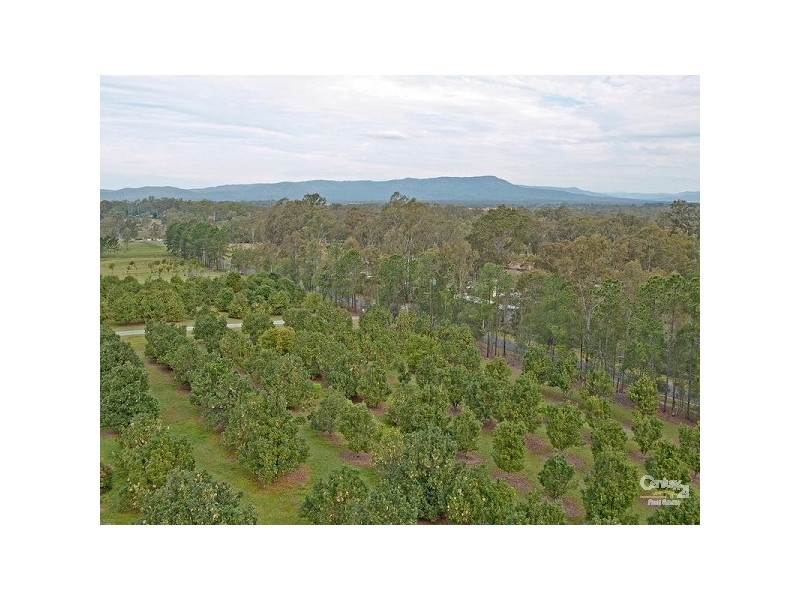107 Williamson, Tamborine QLD 4270