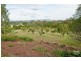 107 Williamson, Tamborine QLD 4270