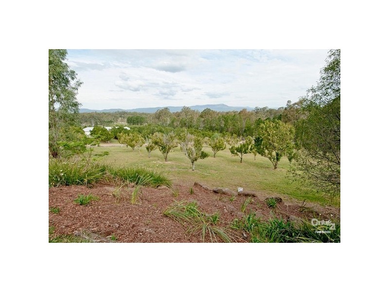107 Williamson, Tamborine QLD 4270
