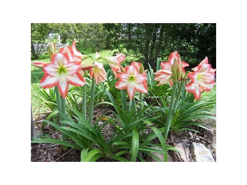 72 Glen Rd, Logan Reserve QLD 4133