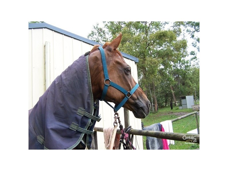 27 Pepperina Dr, Stockleigh QLD 4280