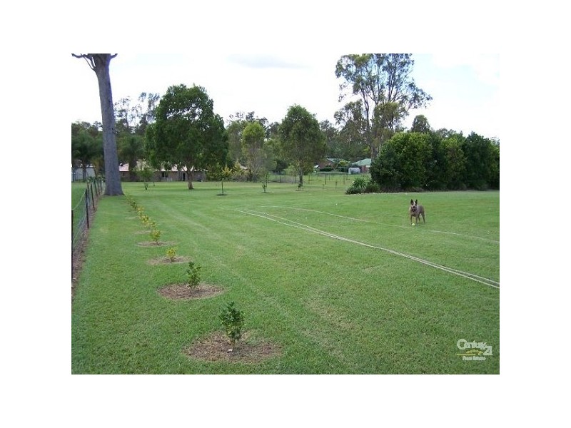 73 Evergreen Drive, South Maclean QLD 4280