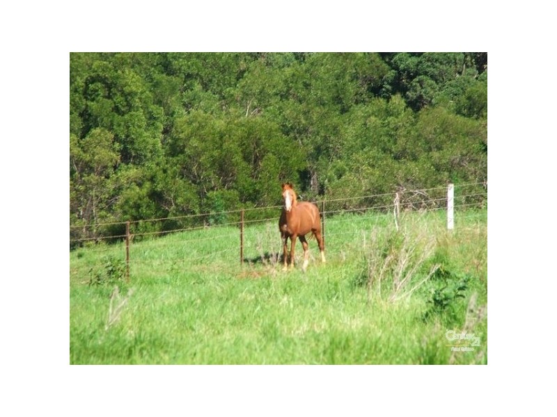 379-385 Long Road, Tamborine Mountain QLD 4272