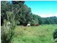 Lot 2 West Road, Tamborine Mountain QLD 4272