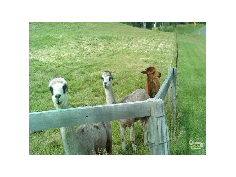 Lot 2 West Road, Tamborine Mountain QLD 4272