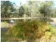 26 Old Coach Road, Tamborine QLD 4270