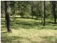 4 Chianina Ct, Tamborine QLD 4270