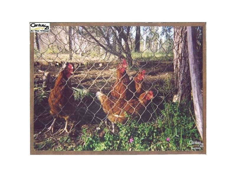 141 Williamson Road, Tamborine QLD 4270