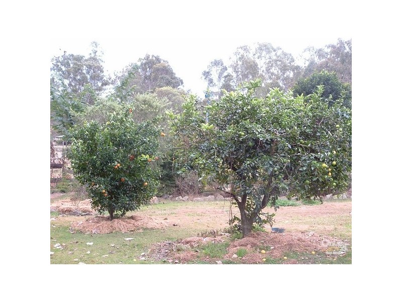 2 Canapia Ct, Logan Village QLD 4207