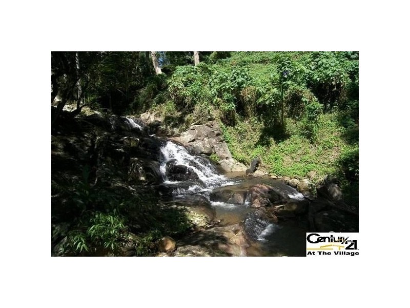 106 Wongawallan Road, Tamborine Mountain QLD 4272