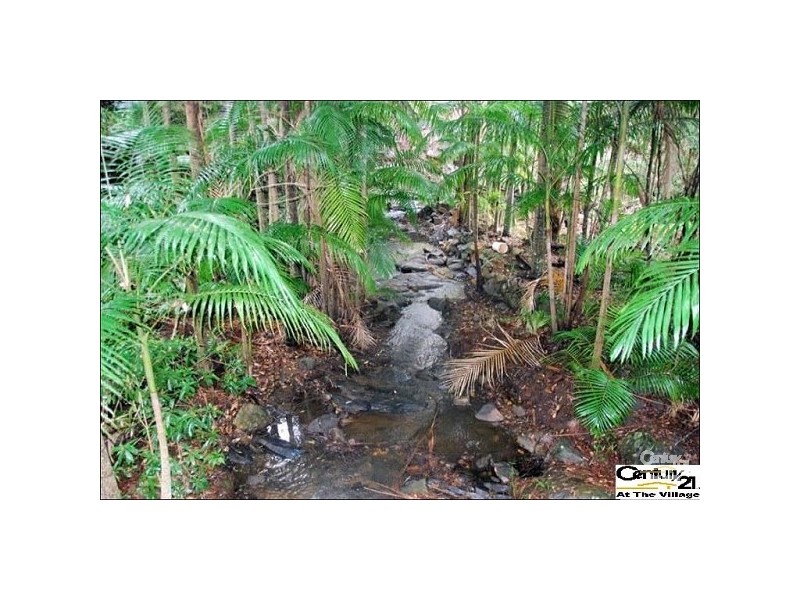106 Wongawallan Road, Tamborine Mountain QLD 4272
