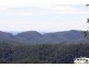 106 Wongawallan Road, Tamborine Mountain QLD 4272