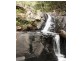 106 Wongawallan Road, Tamborine Mountain QLD 4272