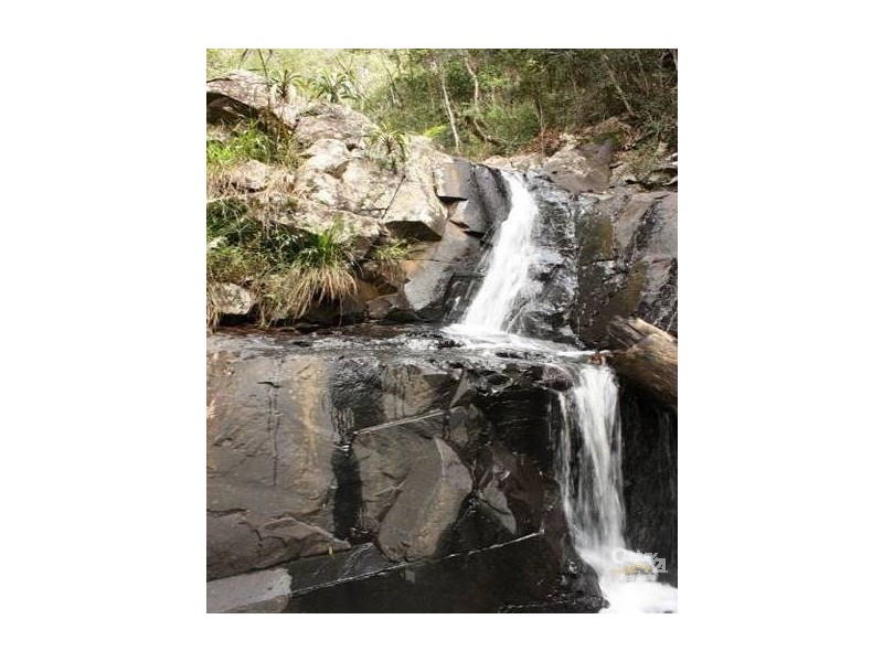 106 Wongawallan Road, Tamborine Mountain QLD 4272