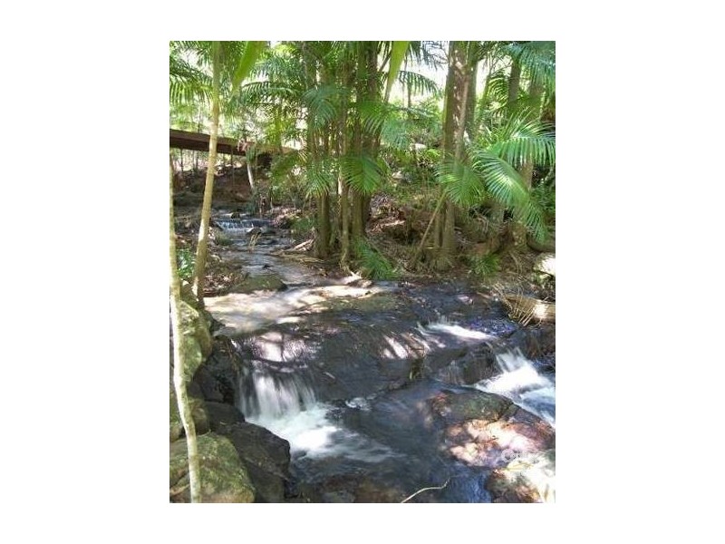 106 Wongawallan Road, Tamborine Mountain QLD 4272