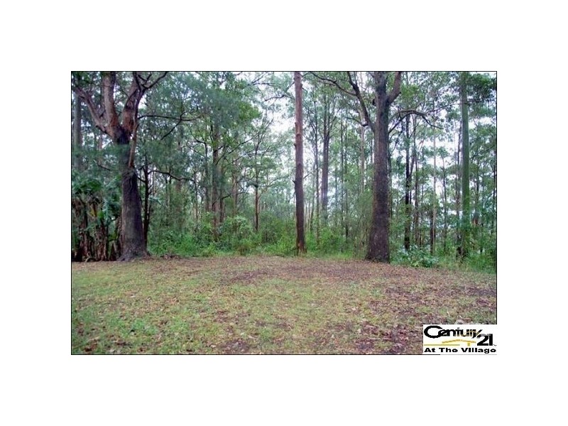 106 Wongawallan Road, Tamborine Mountain QLD 4272
