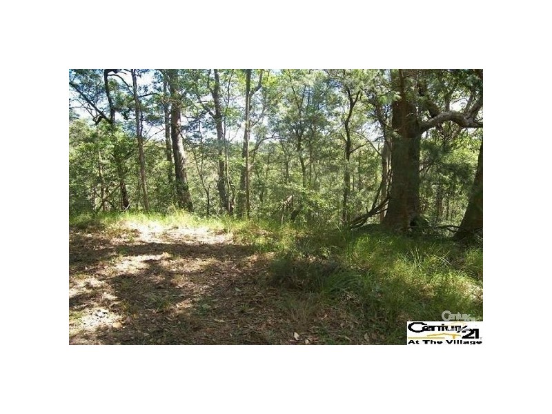 106 Wongawallan Road, Tamborine Mountain QLD 4272