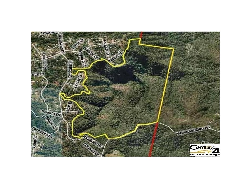 106 Wongawallan Road, Tamborine Mountain QLD 4272
