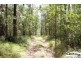 106 Wongawallan Road, Tamborine Mountain QLD 4272