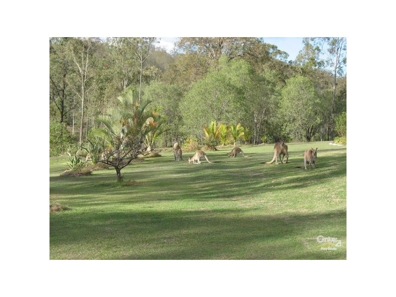 Tamborine QLD 4270