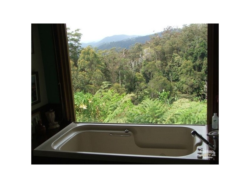 13 Eagles Retreat Place, Tamborine Mountain QLD 4272